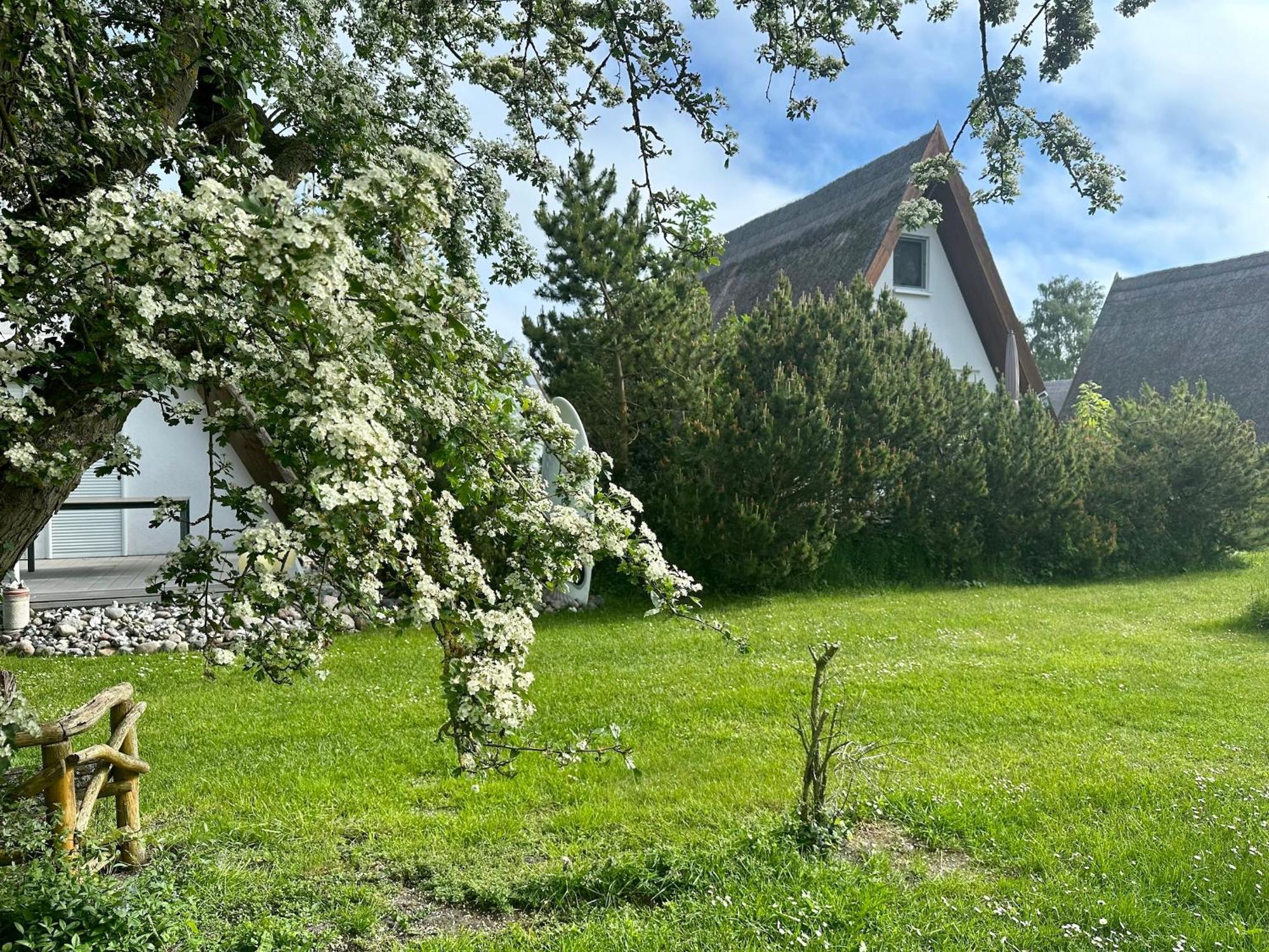 Finnhuette Nr.42 Auf Moenchgut Гагер Екстериор снимка